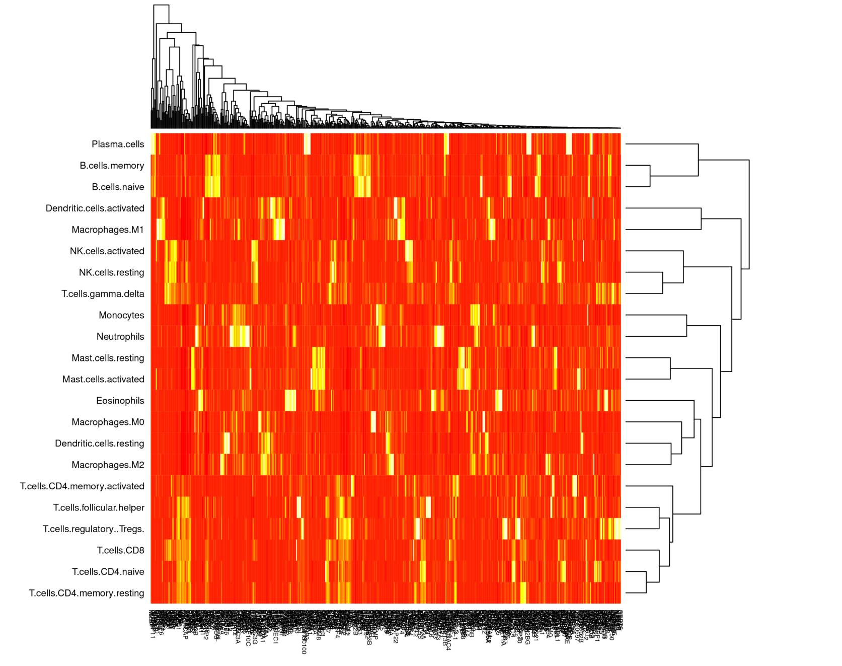 Hierarchical clustering of Cibersort's LM22